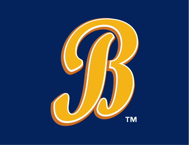Montgomery Biscuits 2009-Pres Cap Logo iron on heat transfer